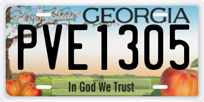 GA license plate PVE1305