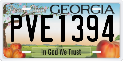 GA license plate PVE1394