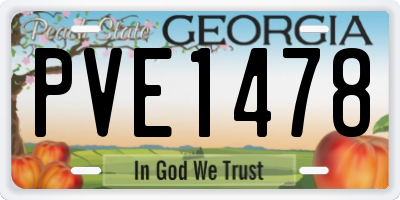 GA license plate PVE1478