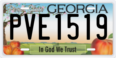 GA license plate PVE1519