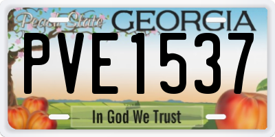 GA license plate PVE1537