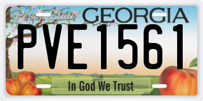 GA license plate PVE1561