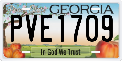 GA license plate PVE1709