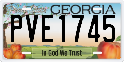 GA license plate PVE1745