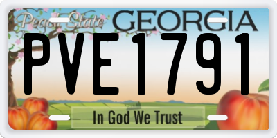 GA license plate PVE1791