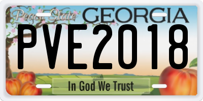 GA license plate PVE2018