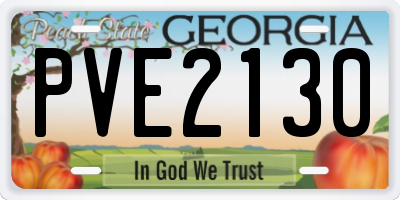 GA license plate PVE2130