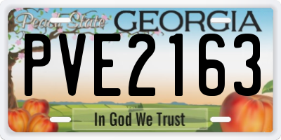 GA license plate PVE2163
