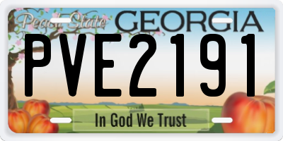 GA license plate PVE2191