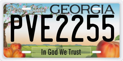 GA license plate PVE2255