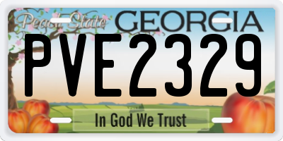GA license plate PVE2329