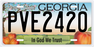 GA license plate PVE2420