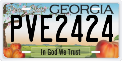 GA license plate PVE2424
