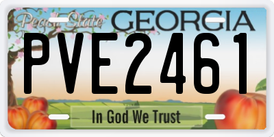 GA license plate PVE2461