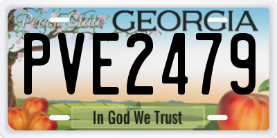 GA license plate PVE2479