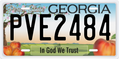 GA license plate PVE2484