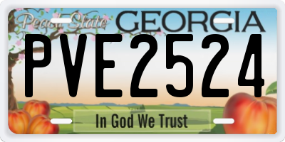 GA license plate PVE2524