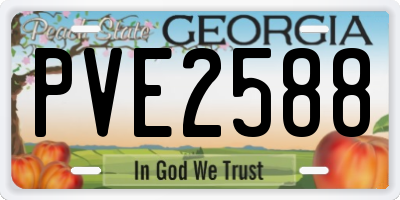 GA license plate PVE2588