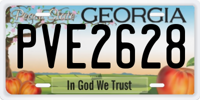 GA license plate PVE2628
