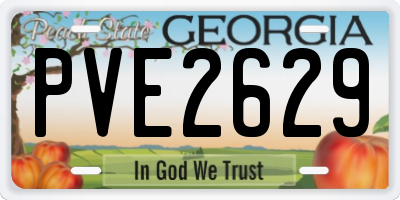 GA license plate PVE2629