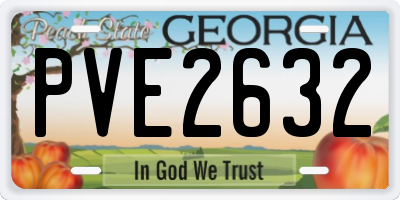 GA license plate PVE2632