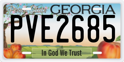 GA license plate PVE2685