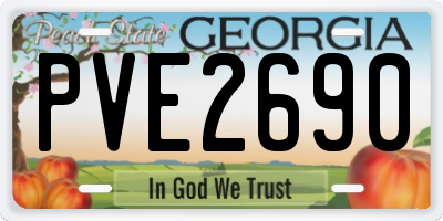 GA license plate PVE2690