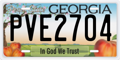 GA license plate PVE2704