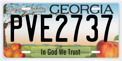 GA license plate PVE2737
