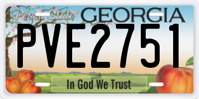 GA license plate PVE2751