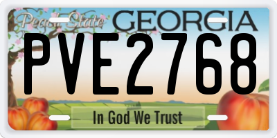 GA license plate PVE2768