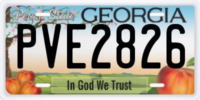 GA license plate PVE2826