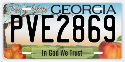 GA license plate PVE2869