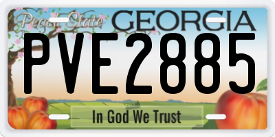 GA license plate PVE2885