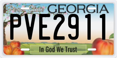 GA license plate PVE2911