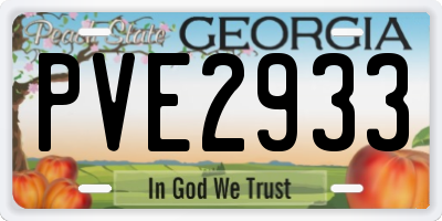 GA license plate PVE2933