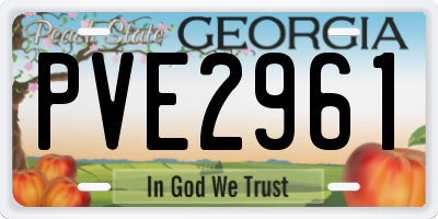 GA license plate PVE2961