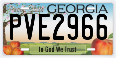 GA license plate PVE2966