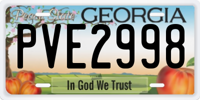 GA license plate PVE2998