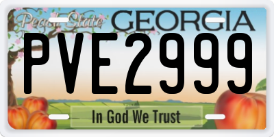 GA license plate PVE2999