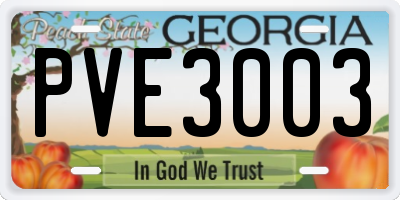 GA license plate PVE3003