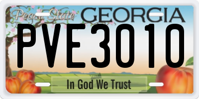 GA license plate PVE3010