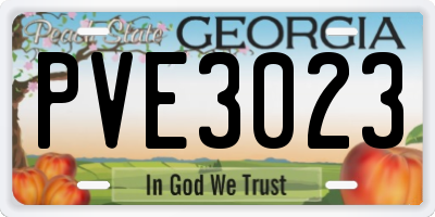 GA license plate PVE3023