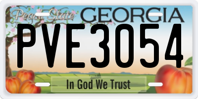 GA license plate PVE3054
