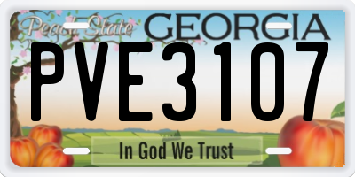 GA license plate PVE3107