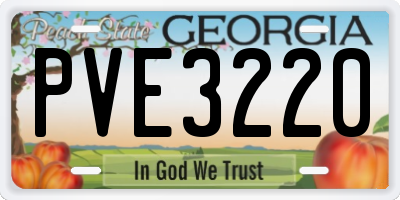 GA license plate PVE3220