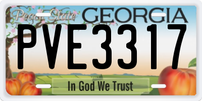GA license plate PVE3317