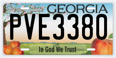 GA license plate PVE3380