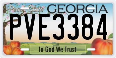 GA license plate PVE3384