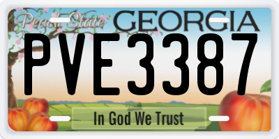 GA license plate PVE3387